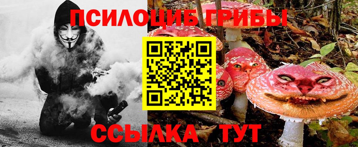 Галлюциногенные грибы Psilocybe Дзержинск